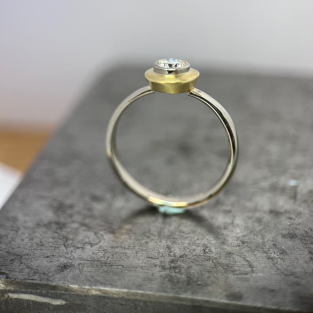 Mixed Metal Ring Sup02